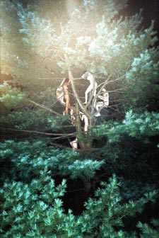 The Art Of Hanging Out—Ryan McGinley Brings His Photographs To