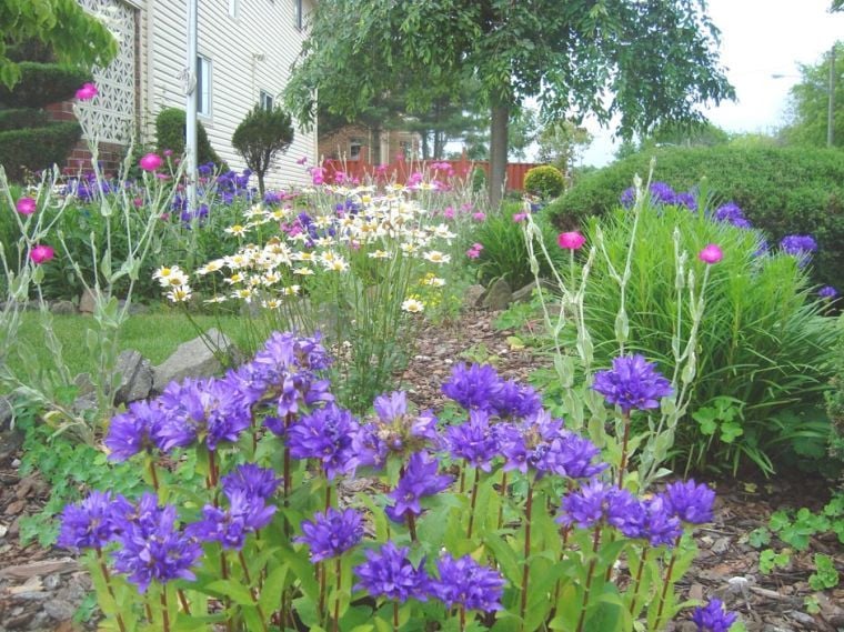 Queens, how does your garden grow?