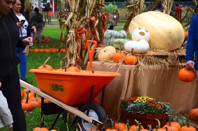 Five Things To Do In Queens This Weekend Oct 11 13 Central Mid
