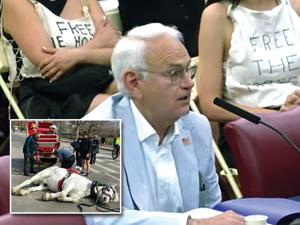 NYC bill to ban horse carriages renamed 'Romanch's Law' after Indian teen's death | Quick Digest