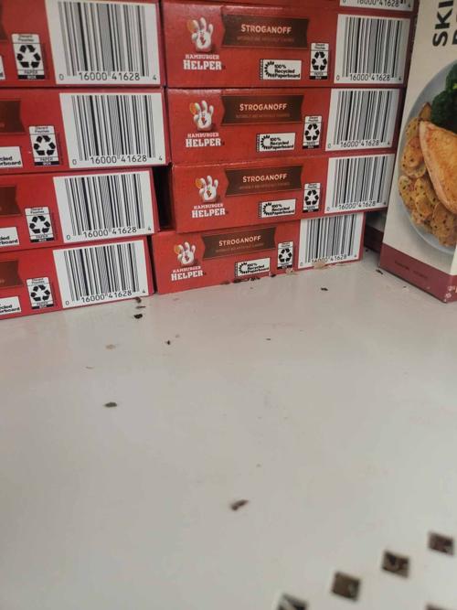 Dollar Tree suffers rat infestation 3