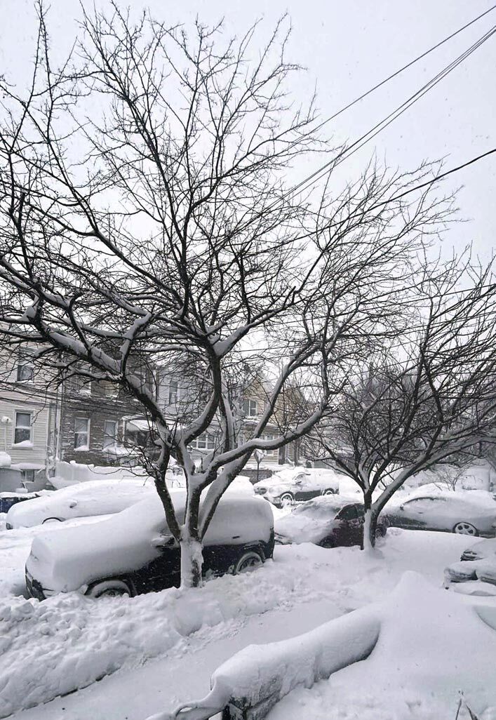 Snowstorm No. 9 dropped nearly 2 feet here | | qchron.com