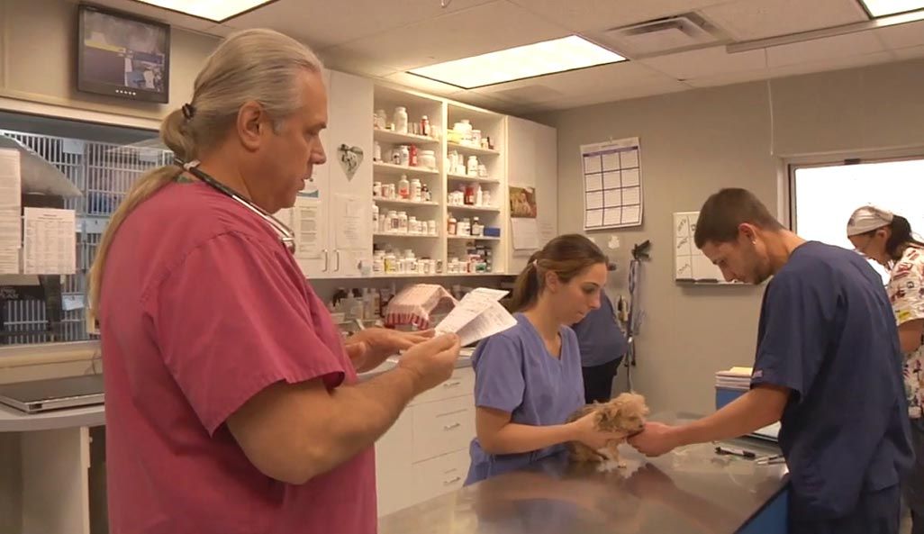 Flushing resident recognized for film