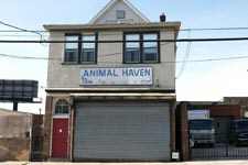Animal Haven shelter closing in Flushing | 