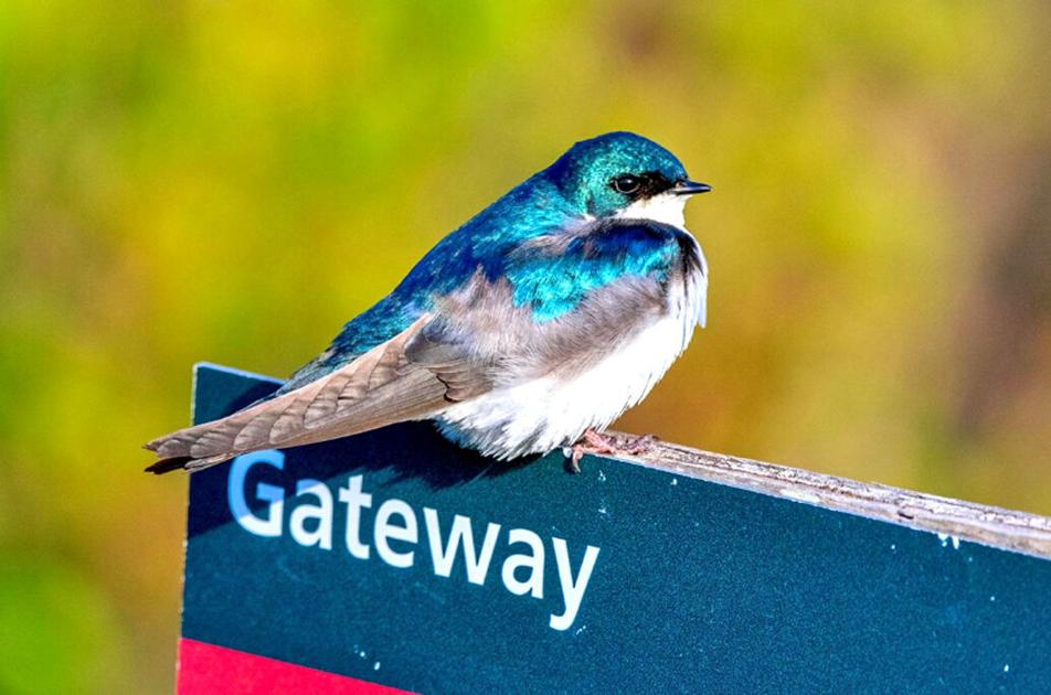All can get in touch with nature at Jamaica Bay by Stephanie G. Meditz, editor Jun 18, 2026 7 hrs ago