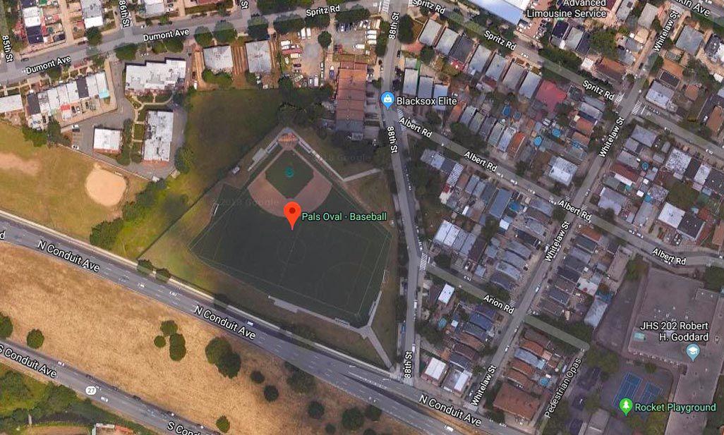 Letting the dogs out in Ozone Park