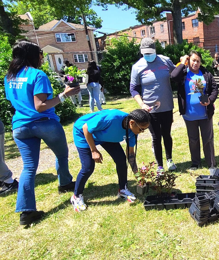 Haggerty Park Beautified For Hollis Families | | Qchron.com