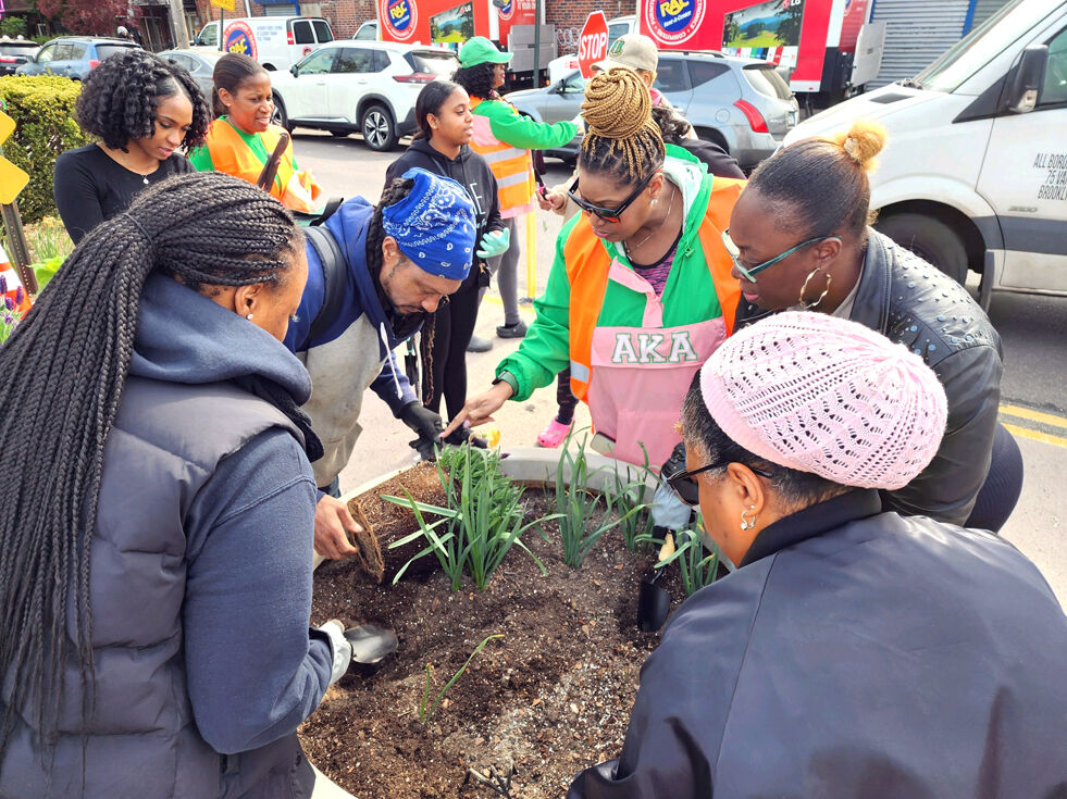 AKA Earth Day in Laurelton