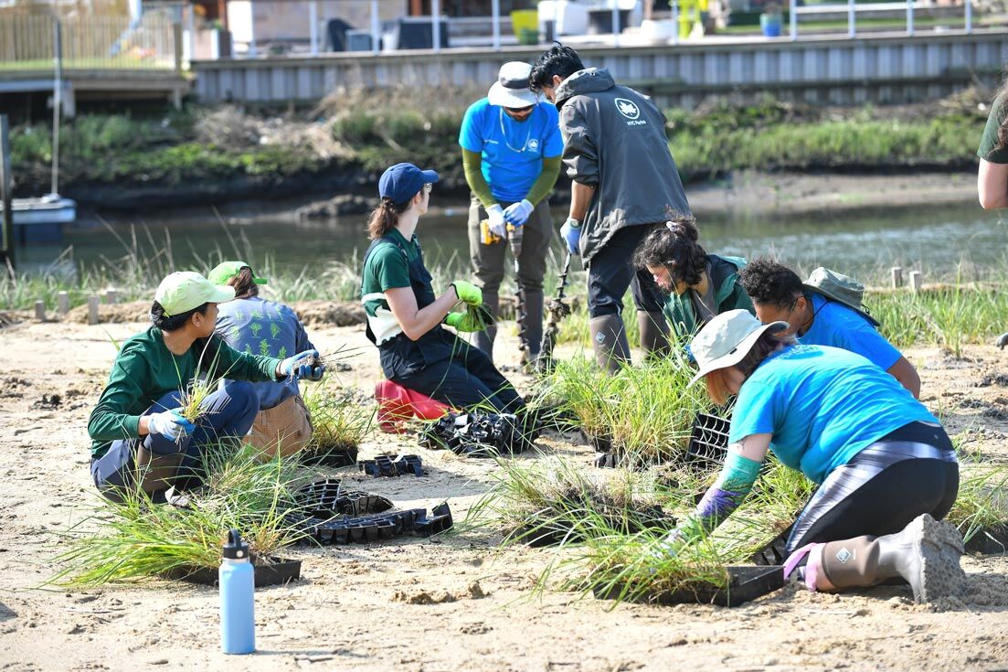 Hook Creek Park in Rosedale restored