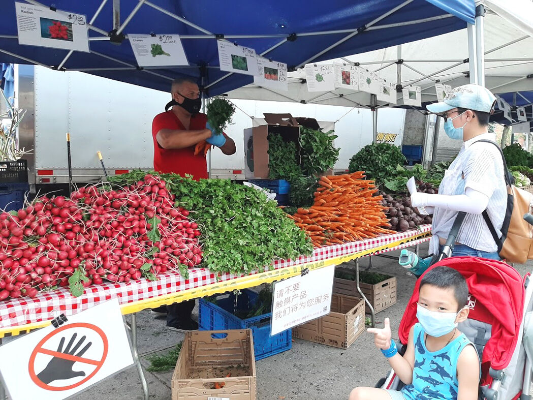 Fresh, Locally-Grown Produce in the Heart of the City: Farmers Markets are  Back in Mississauga – City of Mississauga