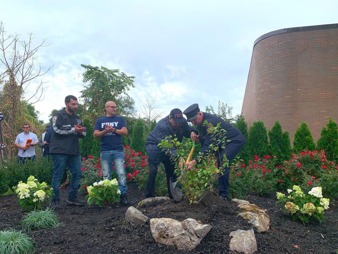 Survivor Tree” seedlings gifted to honor Tree of Life