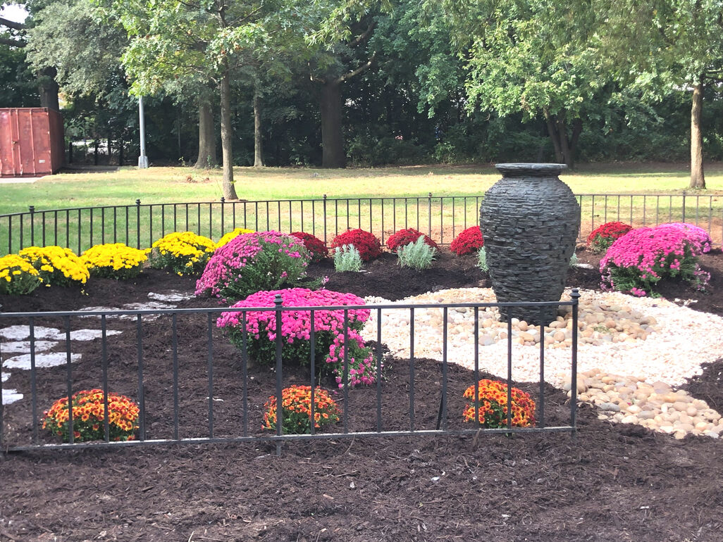 Covid Victory Garden at Roy Wilkins