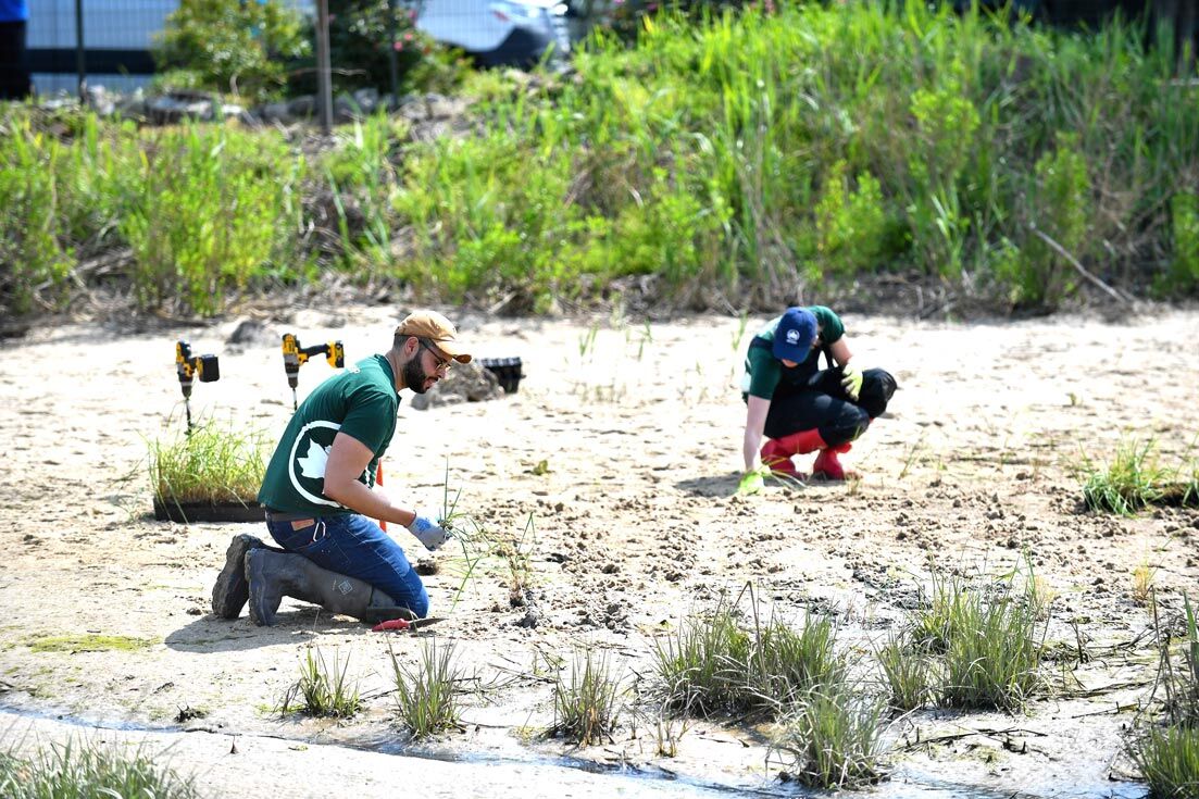Hook Creek Park in Rosedale restored