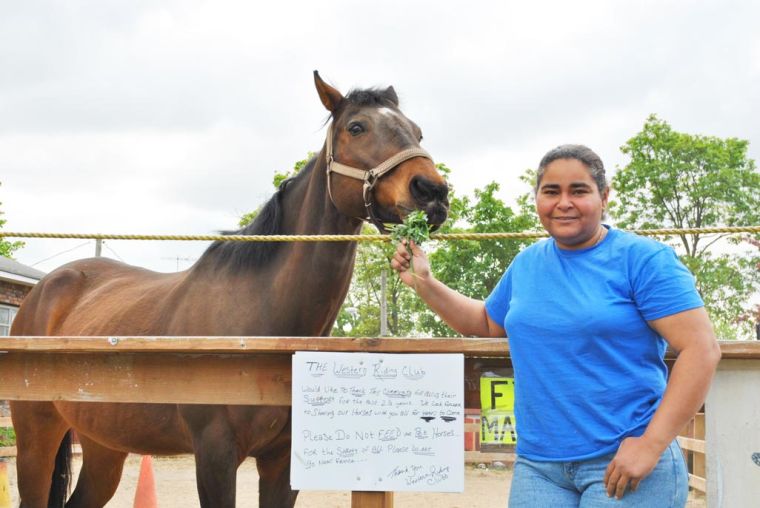 Unique equine escape needs cash, and quick