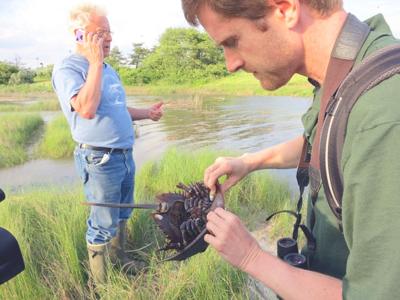 Opening March 17: ‘Saving Jamaica Bay’ 1