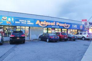 Man S Best Friends Took Shelter At Store Queens Chronicle South