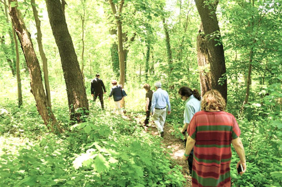 Nature blooms across Queens parks