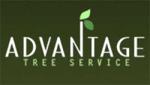 Advantage Tree Service