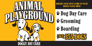 Animal Playground