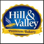 HILL AND VALLEY INC