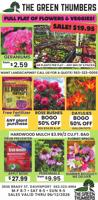 GREEN THUMBERS - Ad from 2026-06-06