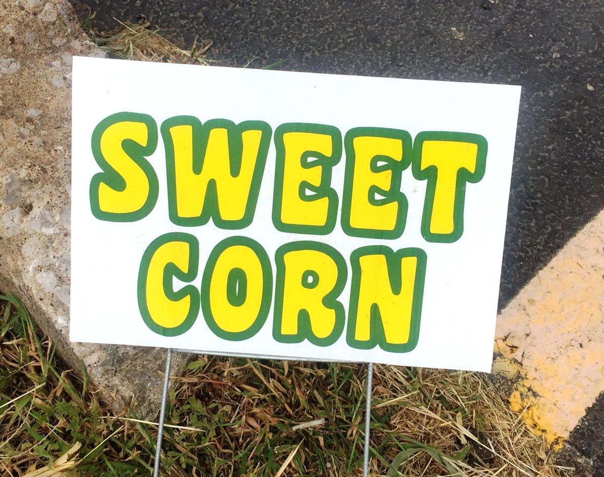 Sweet corn