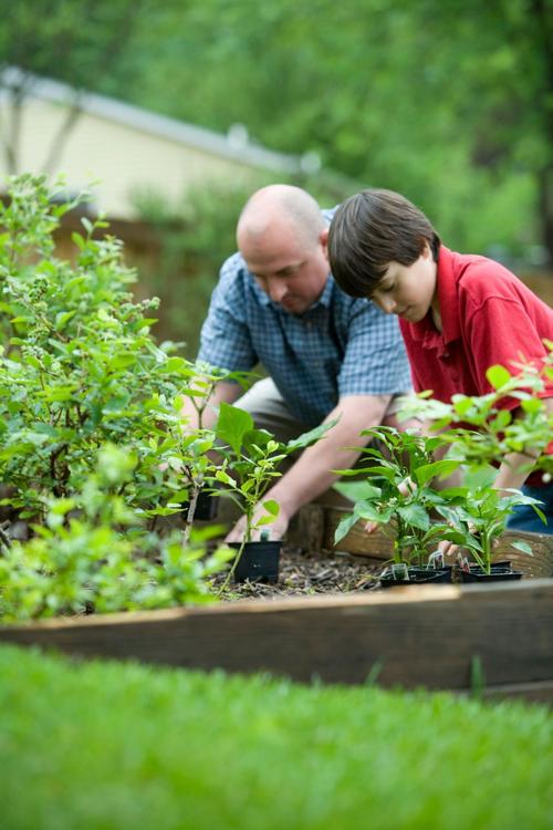 032821-gardenhealth-hg