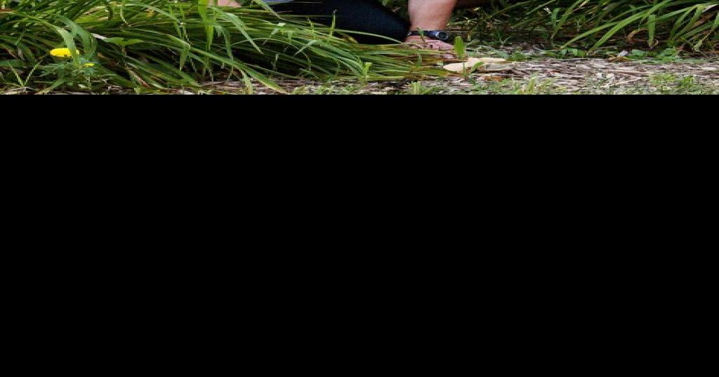 Kirkwood residents beautify the boulevard with flowers