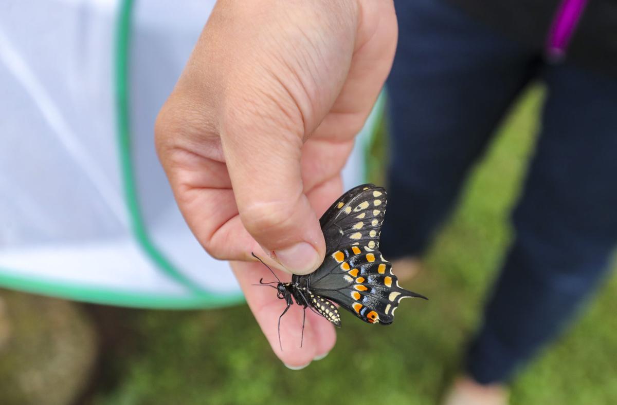 062218-qct-bioblitz-002