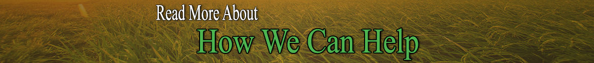 chiropractor in rock island
