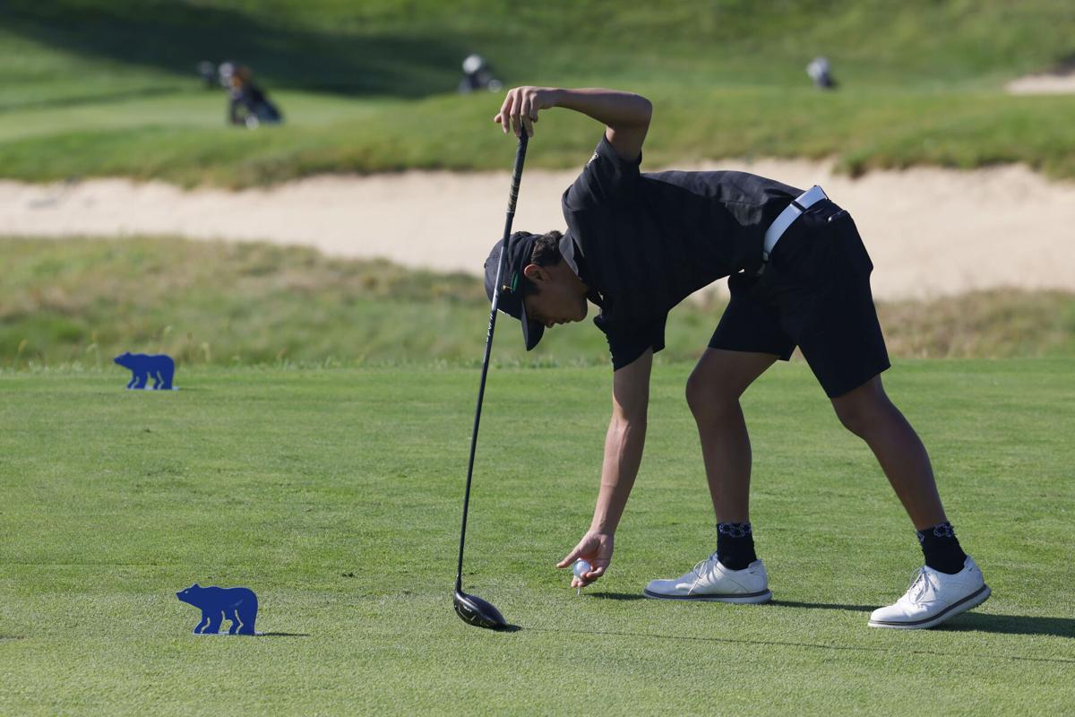 IHSA Class 1A boys golf