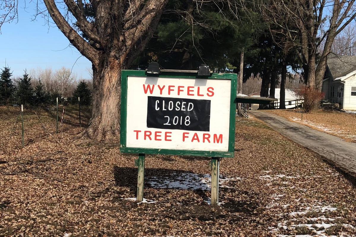 Christmas Tree Farm In Moline Closed For The Season We Re Sorry Local News Qctimes Com