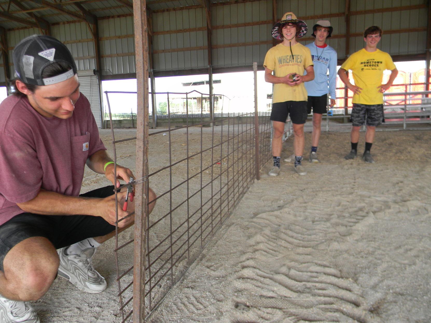 Henry County Fair Coincides With Summer On The Calendar Local News Qctimes Com Henry County Ffa Calendar 2022