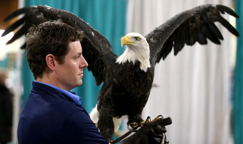 010518-Bald-Eagle-Days-2018-001