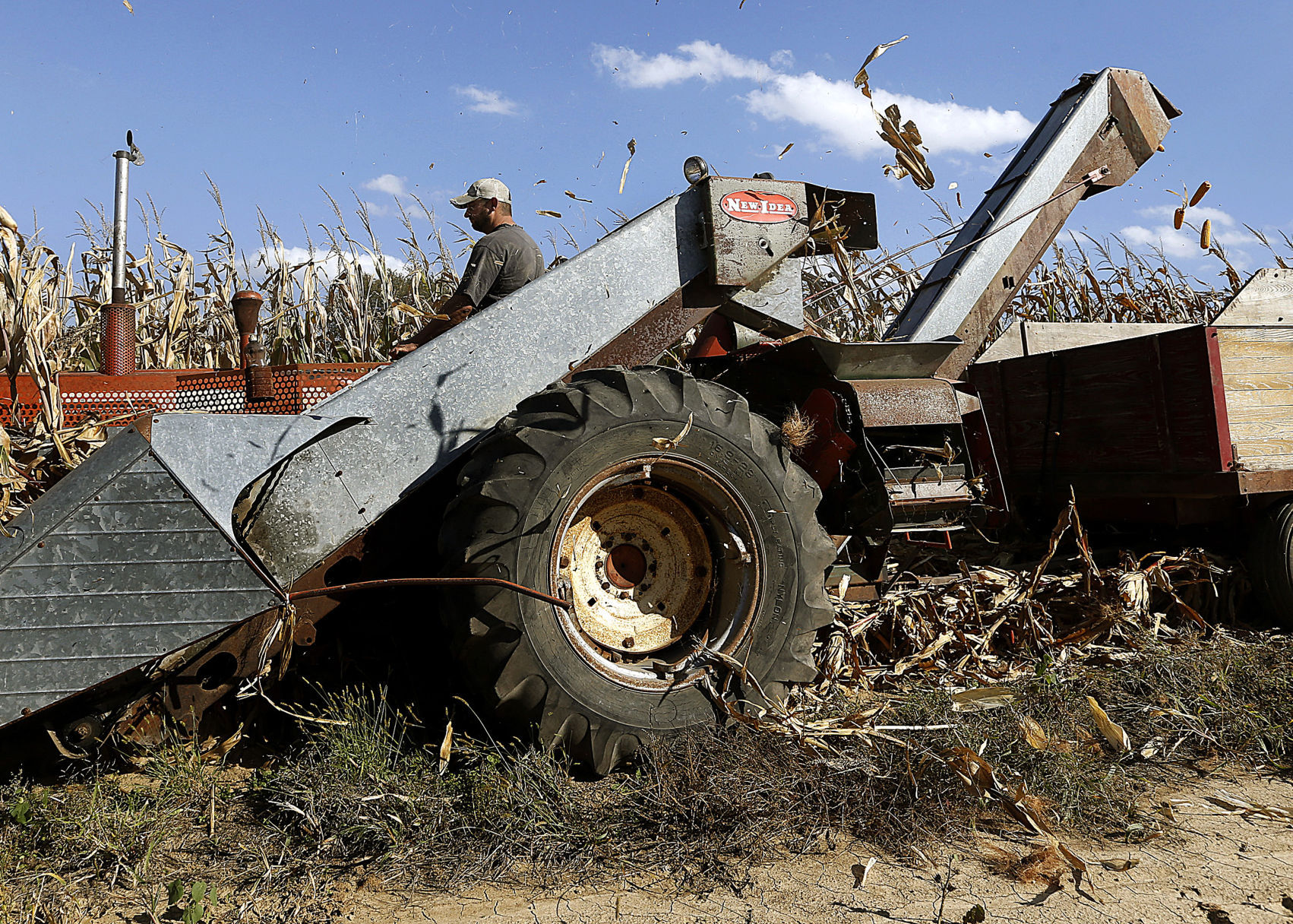 Charlotte farmer uses vintage equipment to harvest ear corn