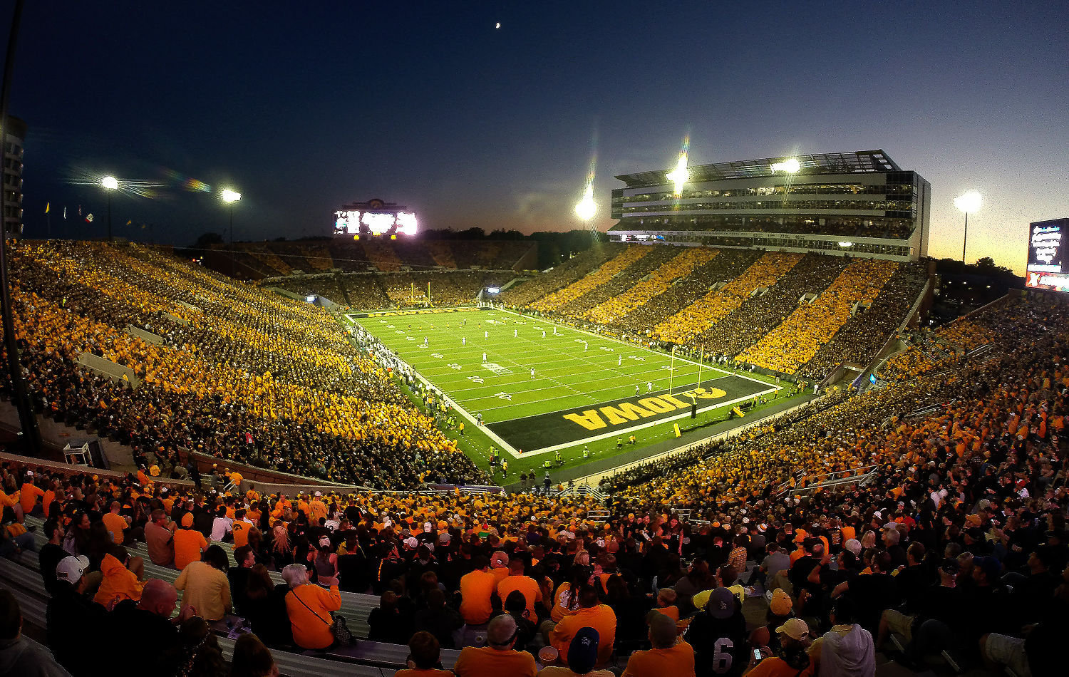 iowa hawkeye night light