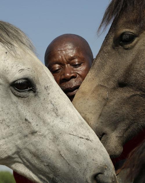 South Africa Soweto Horse Gymnastics