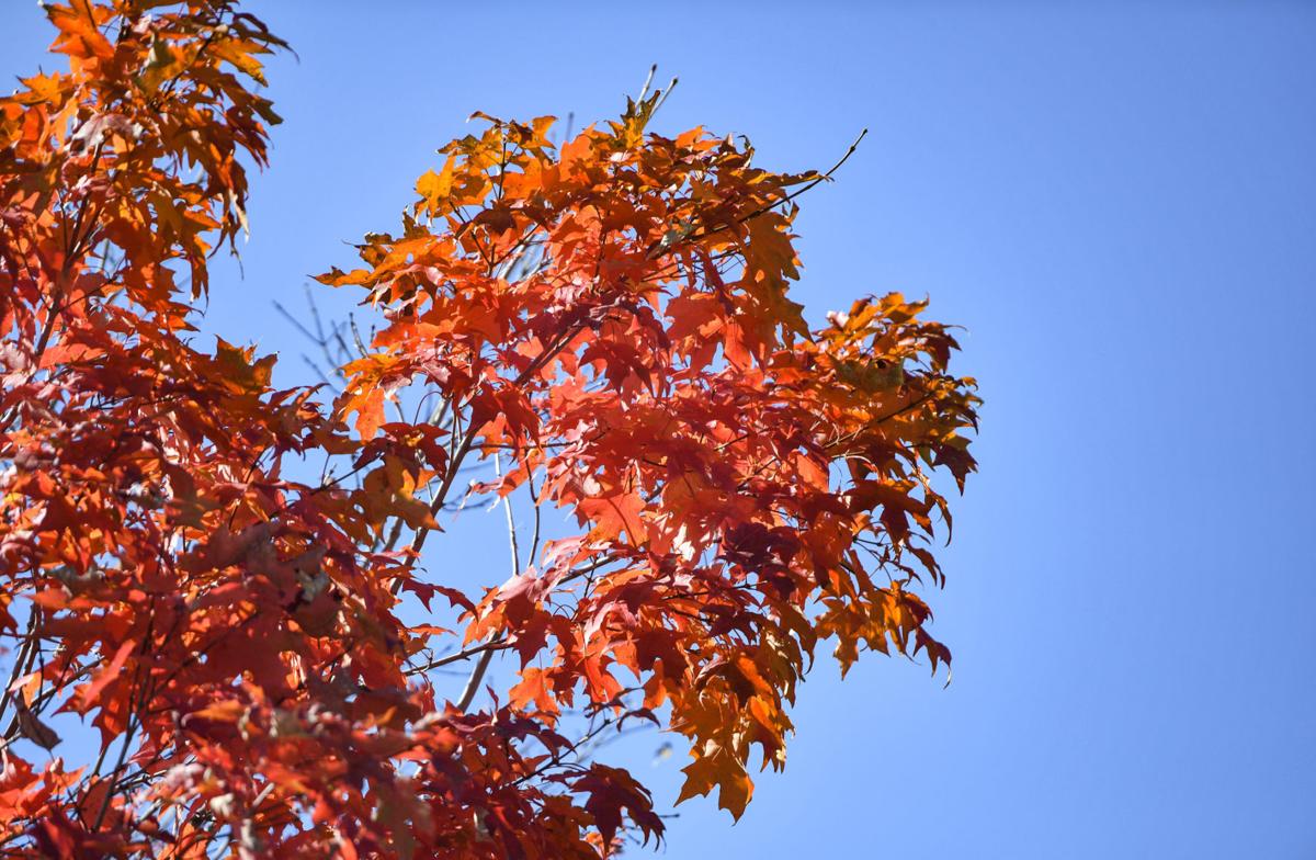 100820-qc-nws-fallcolor-003