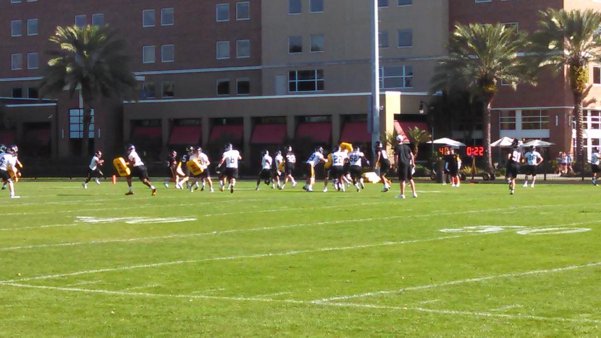Outback Bowl