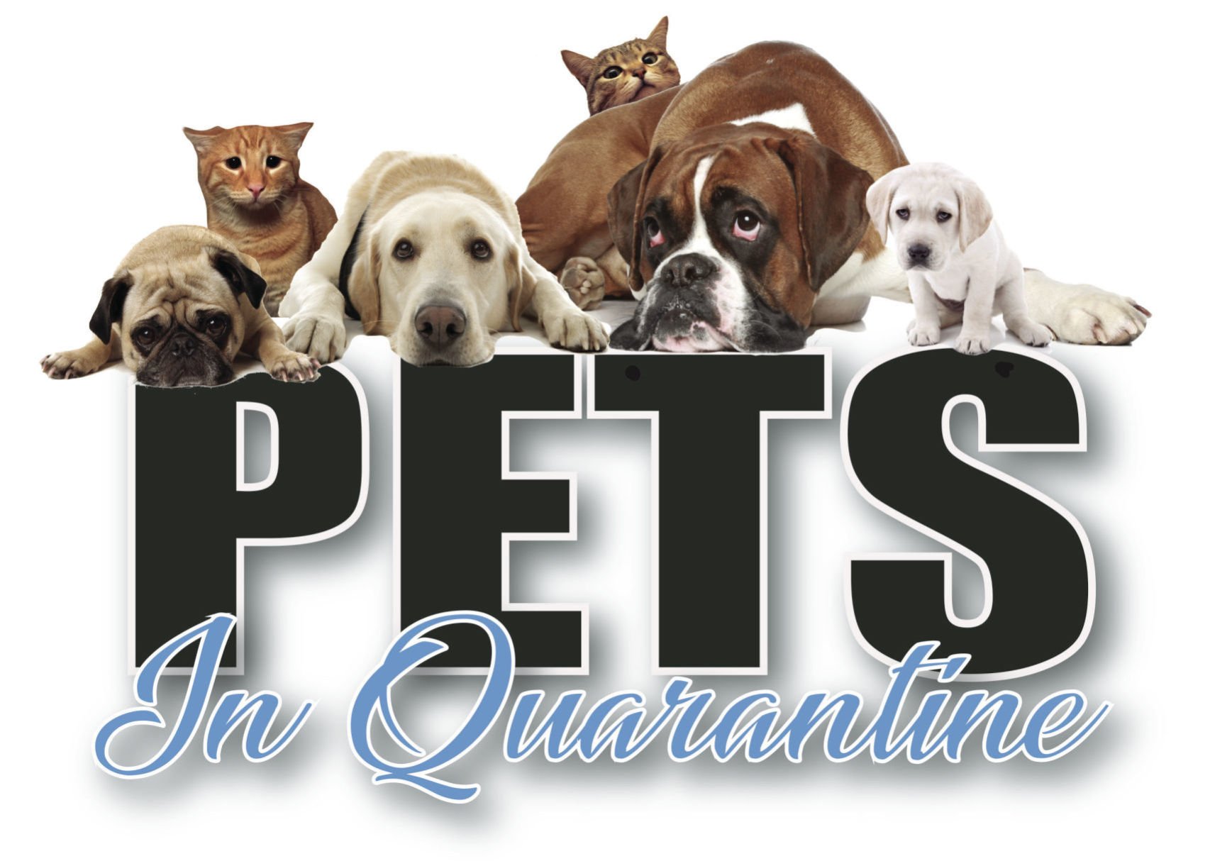 thrifty nickel free puppies