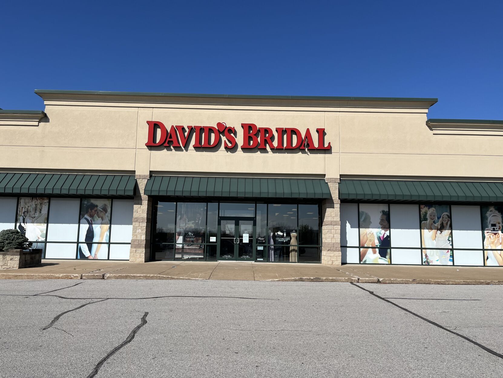 David's bridal online on sale store