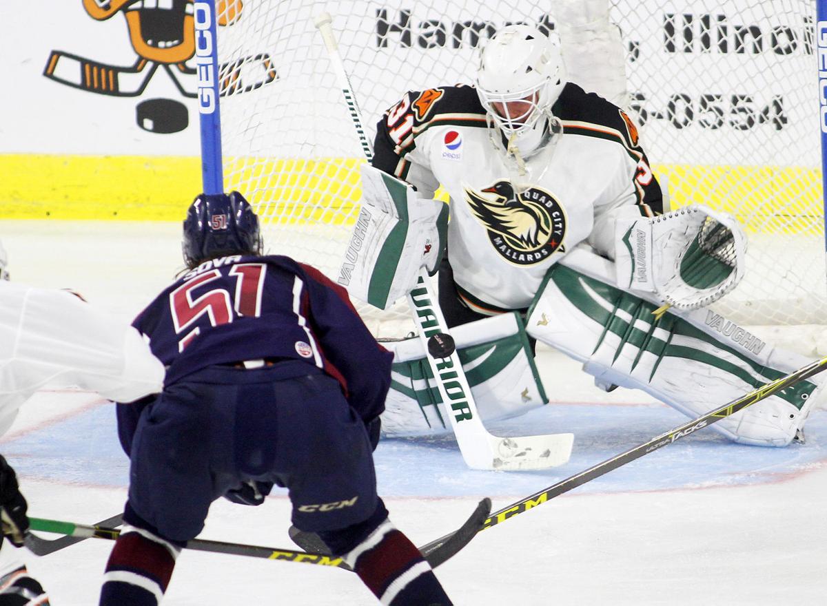 102315-mallards07