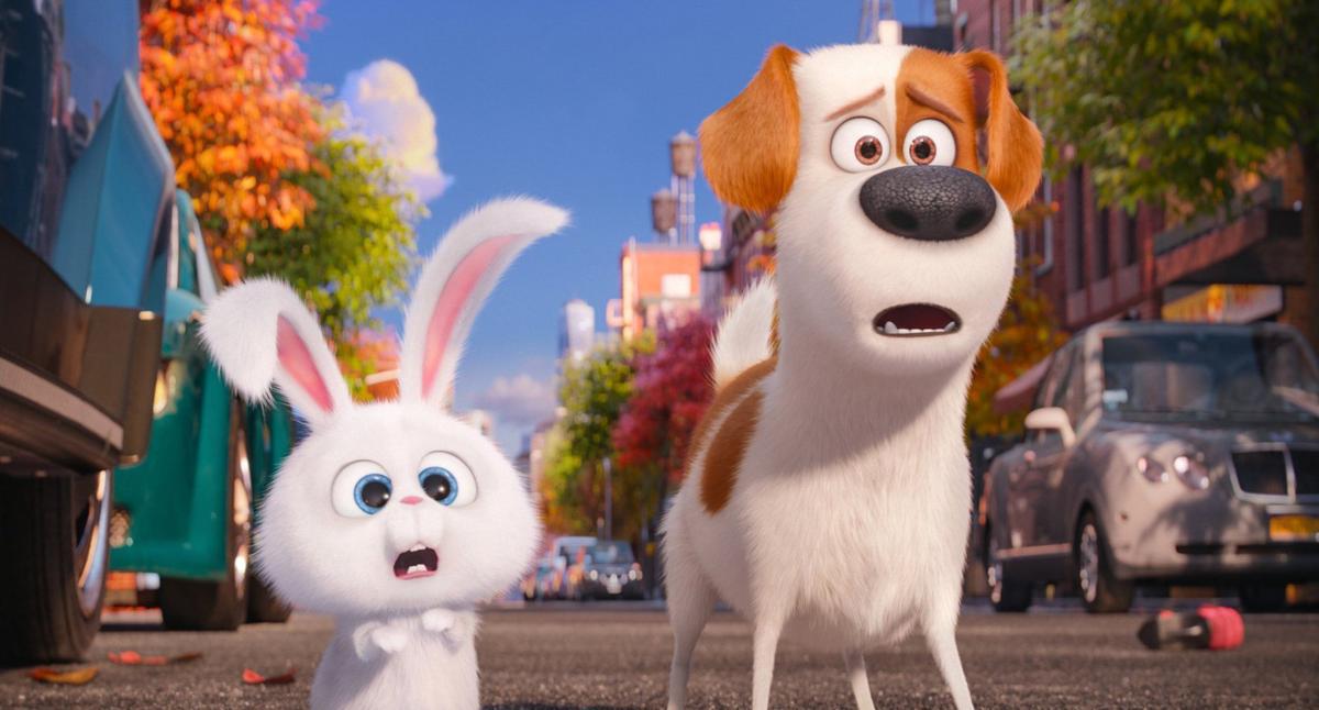 Snowball The Secret Life Of Pets Wiki Fandom