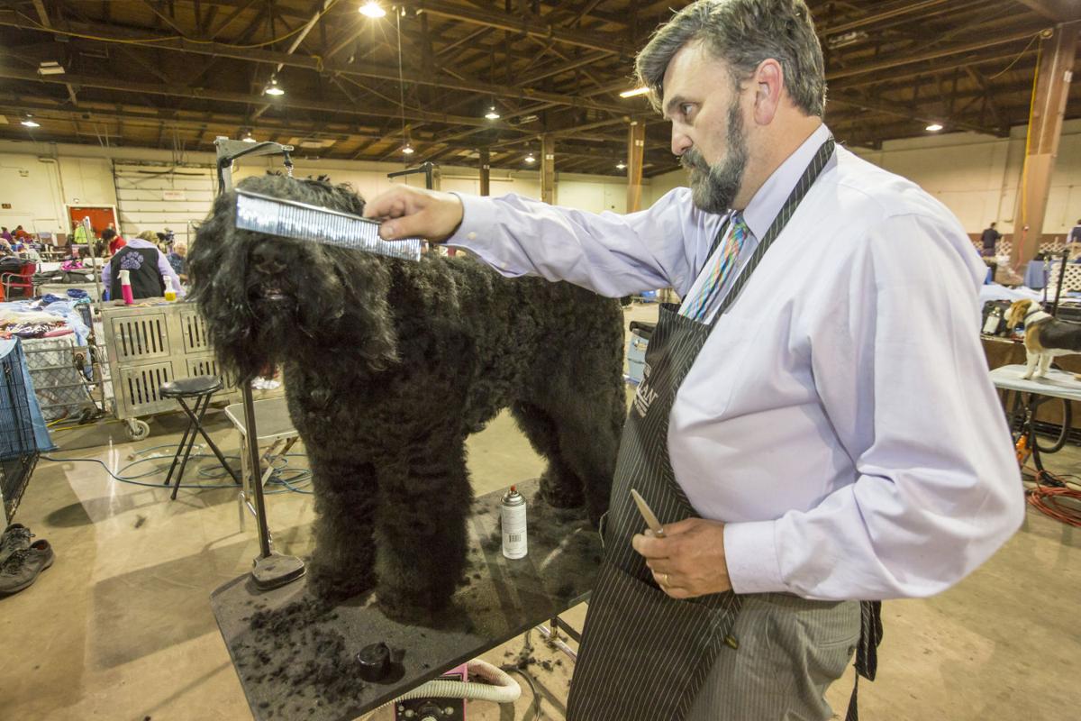 QCCA Expo goes to the dogs Local News