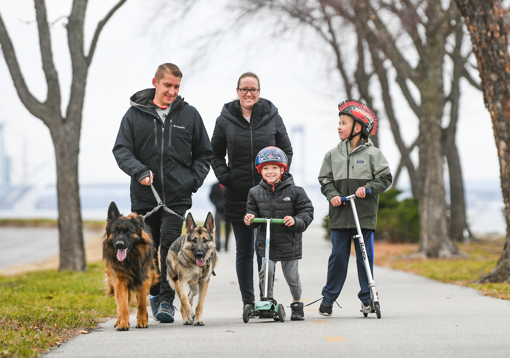 german shepherd puppies quad cities