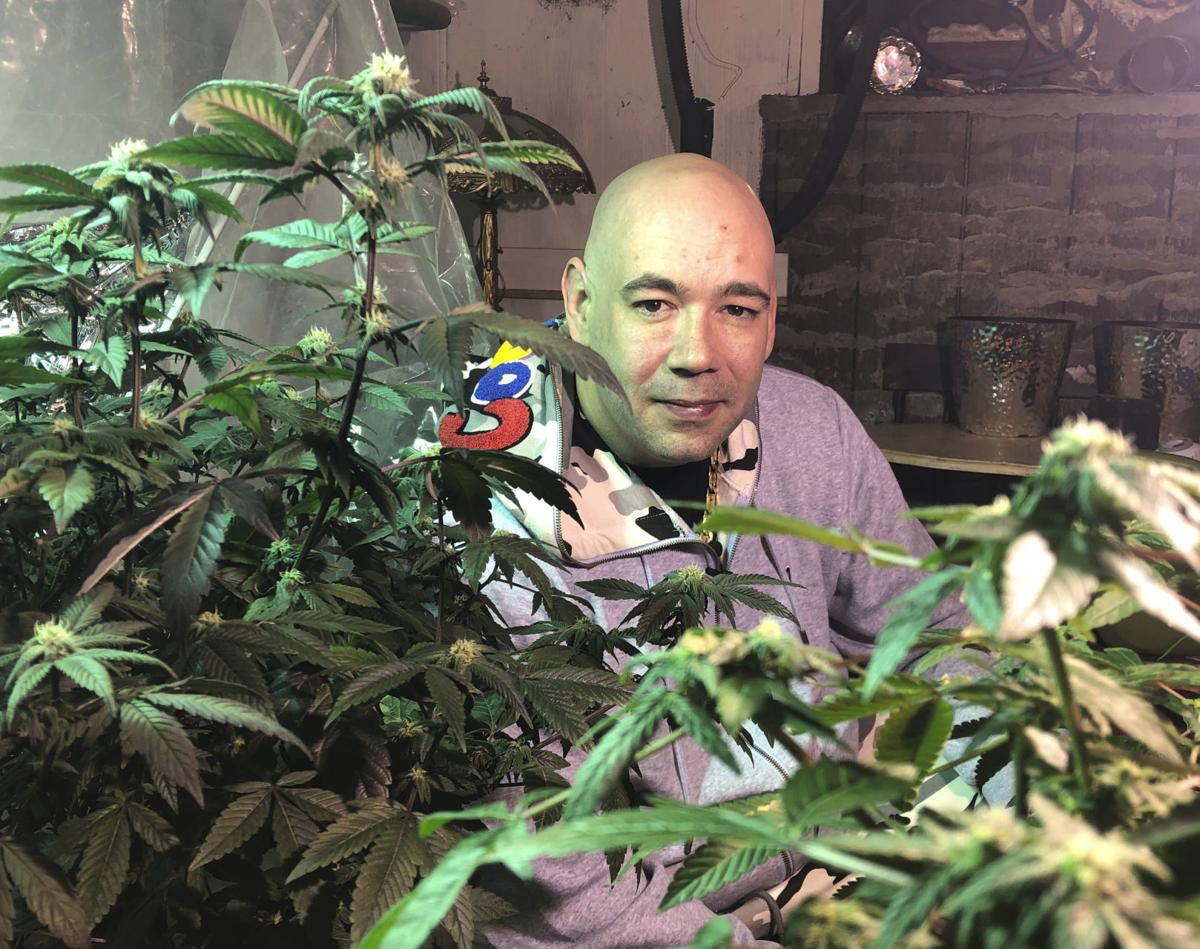 Home Grow Marijuana
