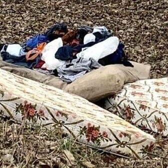 Iowa man fined $4K for littering - Vimarsana News