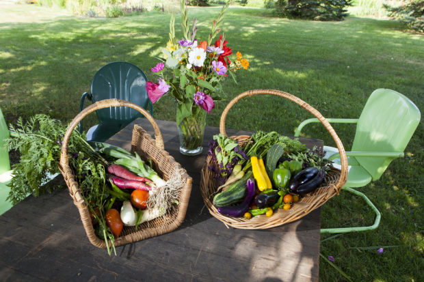 081814-frye-farm-27