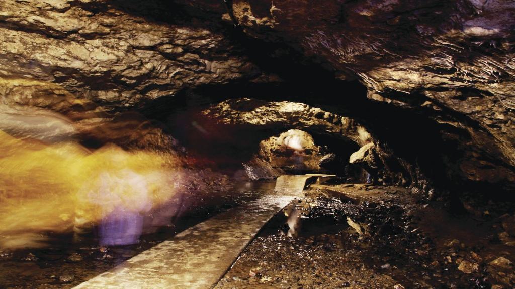 Fungus That Causes Bat Disease Found In Maquoketa Caves Local News Fungus That Causes Bat Disease Found In Maquoketa Caves