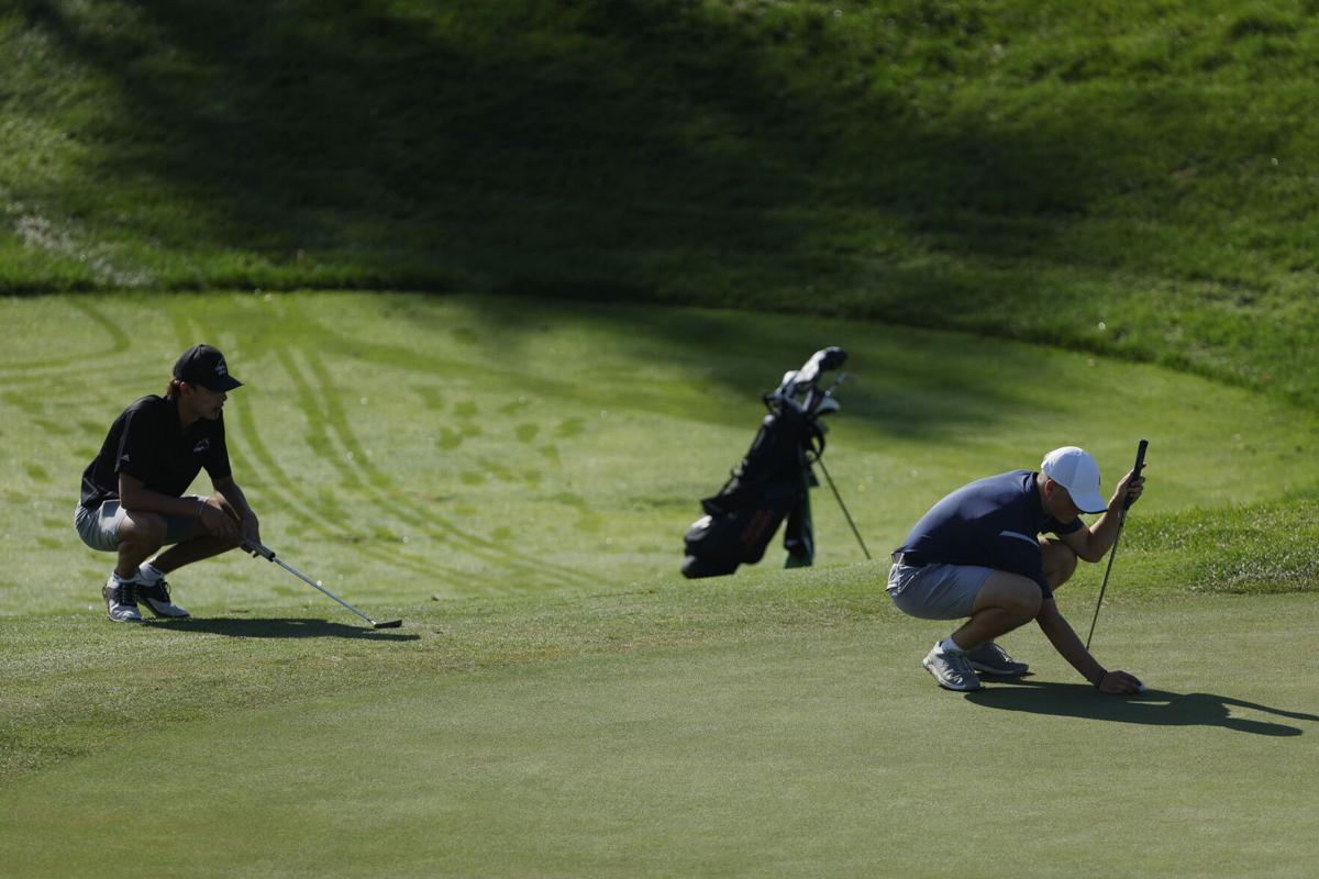 IHSA Class 1A boys golf
